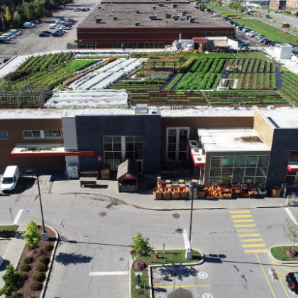 The Inside Details on the Award-Winning IGA Organic Rooftop Farm